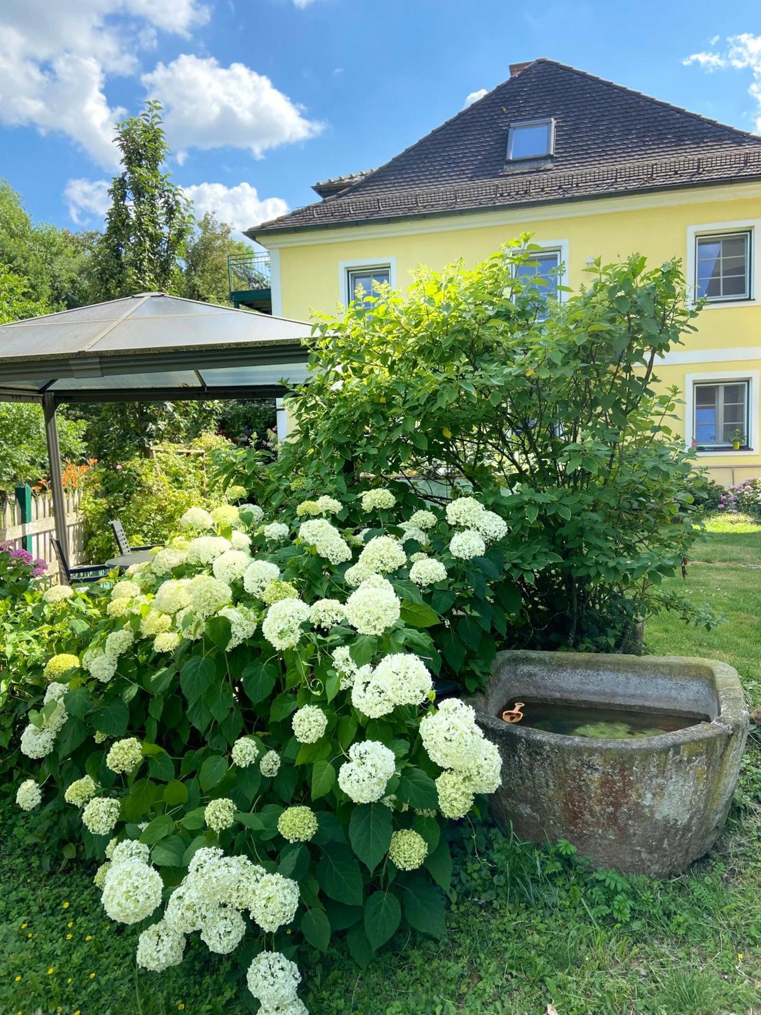 Appartementhof Stadler 波金格 外观 照片